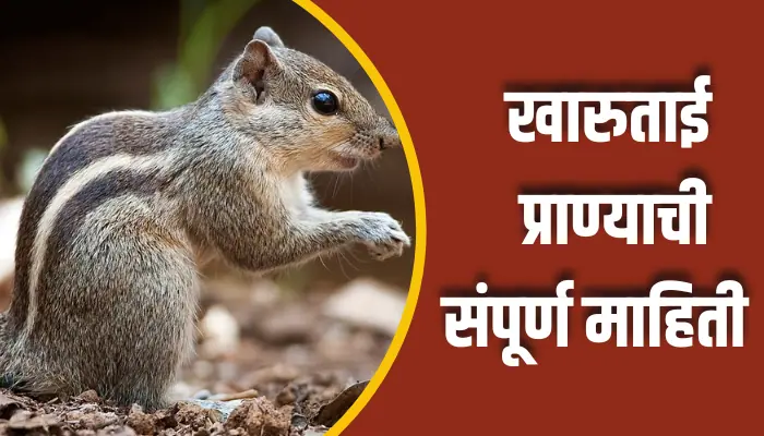 Kharutai Animal Information In Marathi