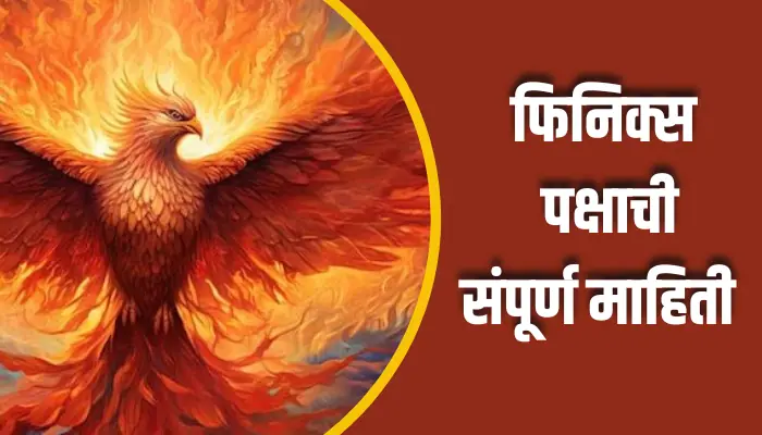 Phoenix Bird Information In Marathi