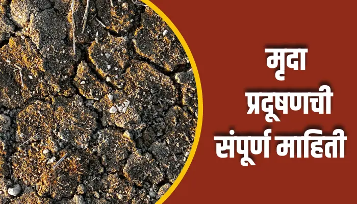 Soil Pollution Information In Marathi