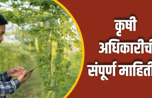 Agriculture Officer Information In Marathi