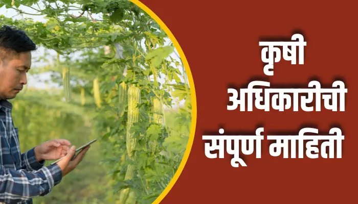 Agriculture Officer Information In Marathi