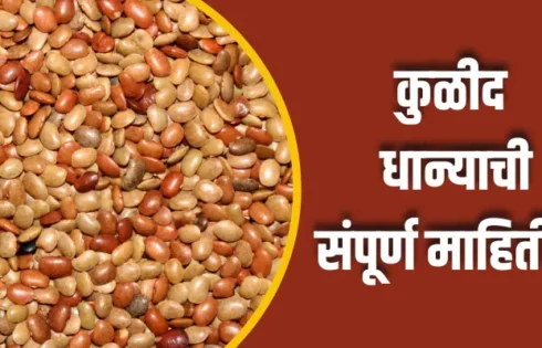 Horse Gram Information In Marathi